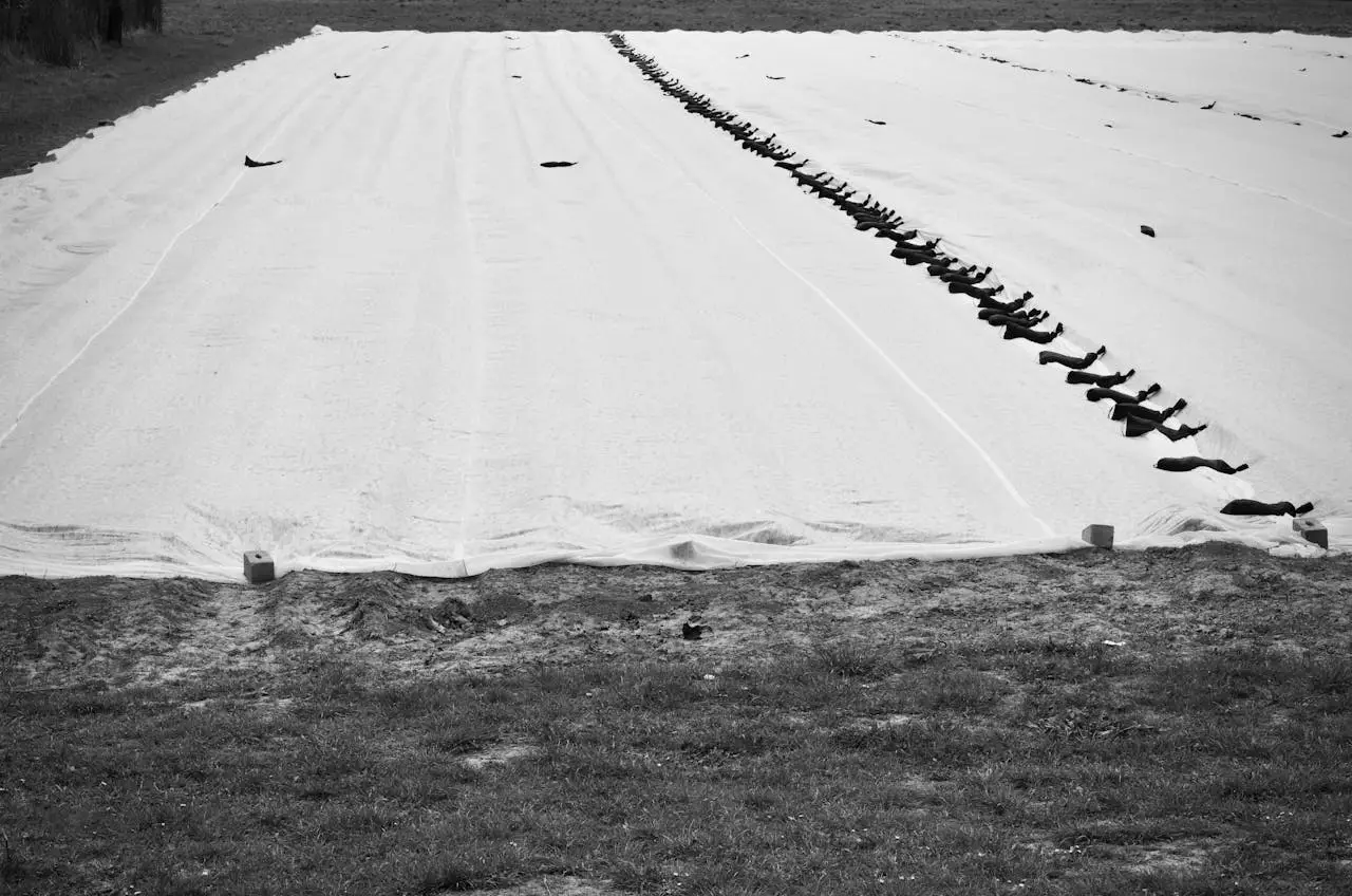 Black and white image of a covered agricultural field with evenly placed black weights.